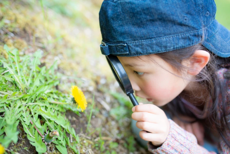 child using magnifying glass to look at plants